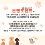 본앤조인트