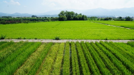 미실란 반하다&카페 씨앗의 마음