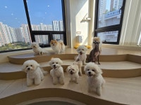 멍더가든 애견유치원&애견호텔