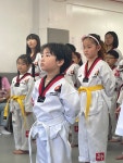 한국체대송중태권도