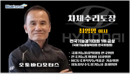 블루핸즈 오토바디모터스