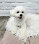 우리몽