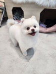 와와살롱