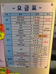 머리치장