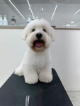 엘몽드