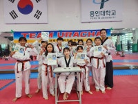 용인대학사태권도