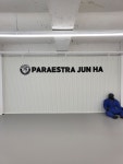 파라에스트라 전하