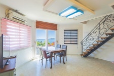 해돋이가자애견펜션