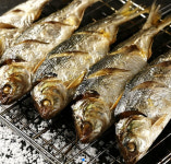 훈춘양꼬치
