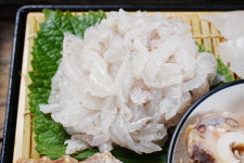 세꼬시마을 용인본점