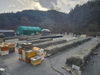 꿀이라꿀벌농장