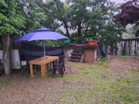 샘내한증막로즈마리