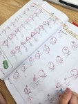 더블유입시학원
