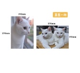 포토 체크