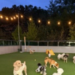 헬로우버디 광교점