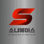 소냐에이스 자동차시트