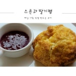 카페알코브