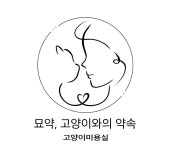 묘약고양이미용실