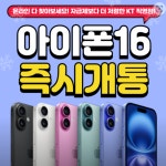 KT 이룸텔레콤 부사점