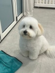 코트니룸