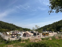 메타세콰이어 오토캠핑장