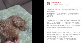 노아펫바이오