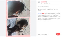 노아펫바이오
