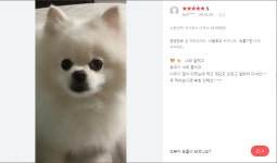 노아펫바이오