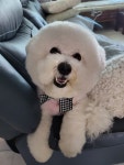 하루헤어