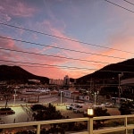 항구1465