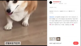 노아펫바이오