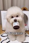 노아펫바이오