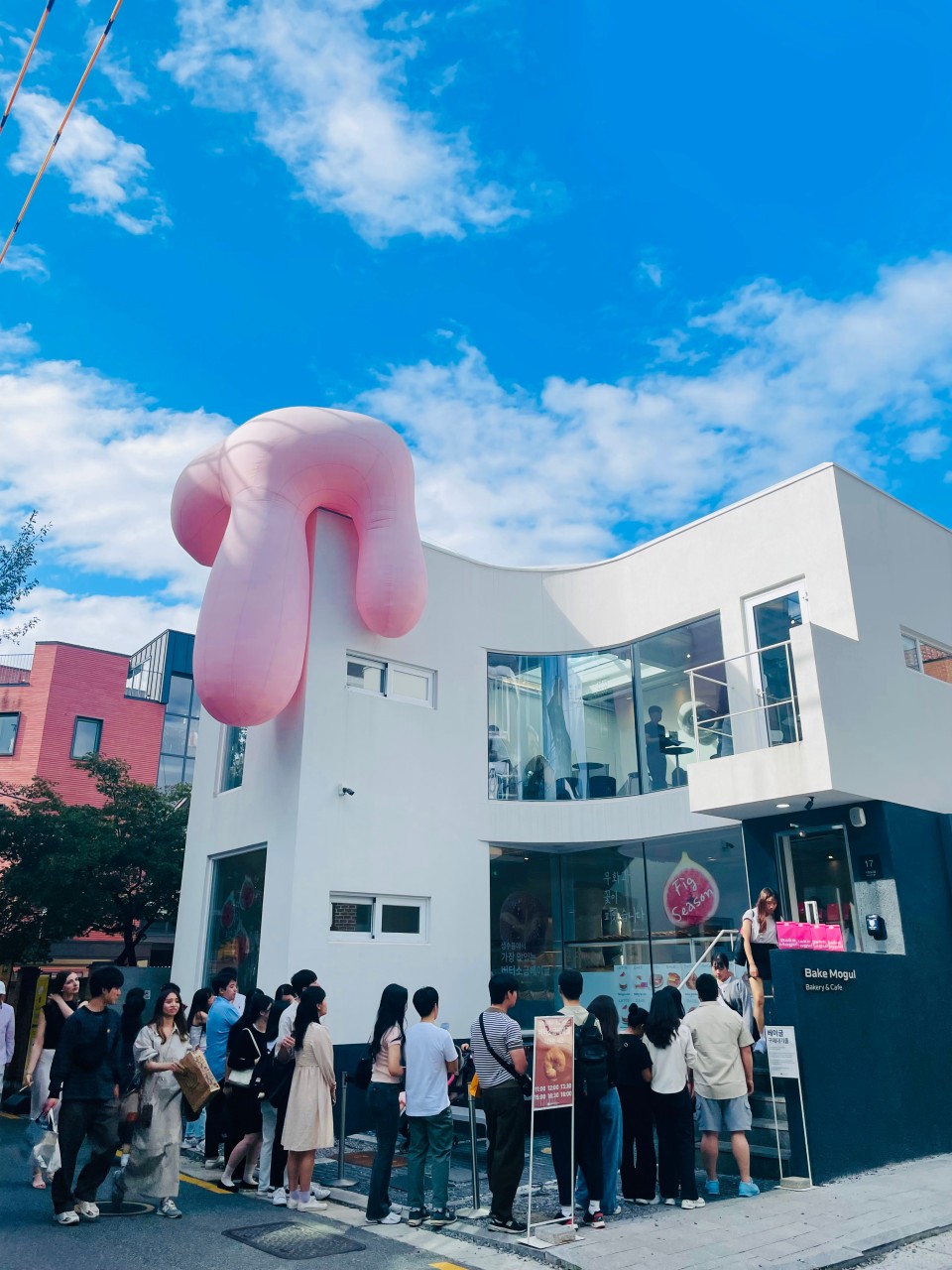 베이크모굴 이미지 1