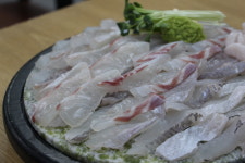 회신물회