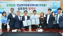 전남반려동물장례식장 푸른솔