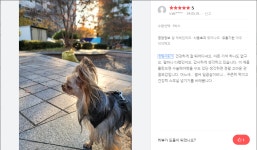 노아펫바이오