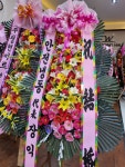 아마존꽃식물원 서울점