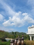달디온/주말카페