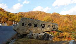 하늘과땅사이힐링스테이
