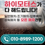 하이모터스