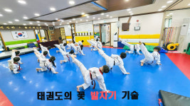 강무태권도