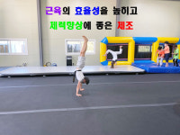 강무태권도