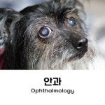 헤아림동물병원