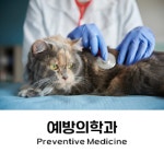 헤아림동물병원