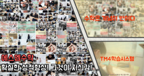 메타수학 부개에스엠