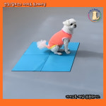 플랜더스 반려견 교육센터 애견훈련 애견유치원 애견호텔