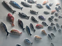 오브드로잉미술교습소