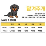 놀면뭐하개