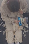 묘약고양이미용실