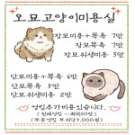 오묘고양이카페호텔미용